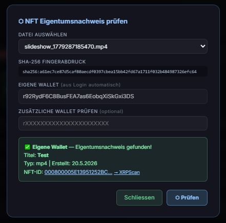 NFT Eigentumsnachweis prüfen — Ergebnis gefunden